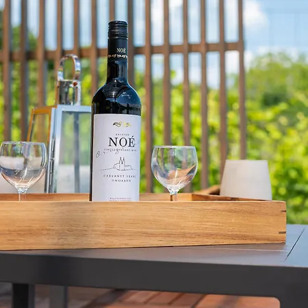 아파트 Gejzir Vendeghaz